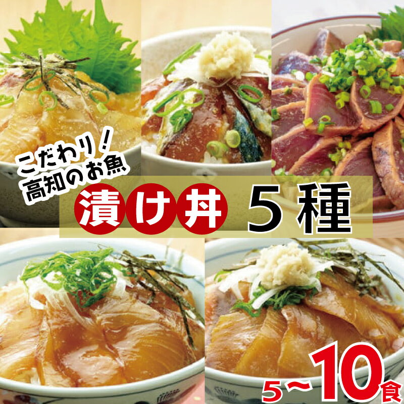 【ふるさと納税】 漬け丼セット 5 種類 各 2 パック 計...