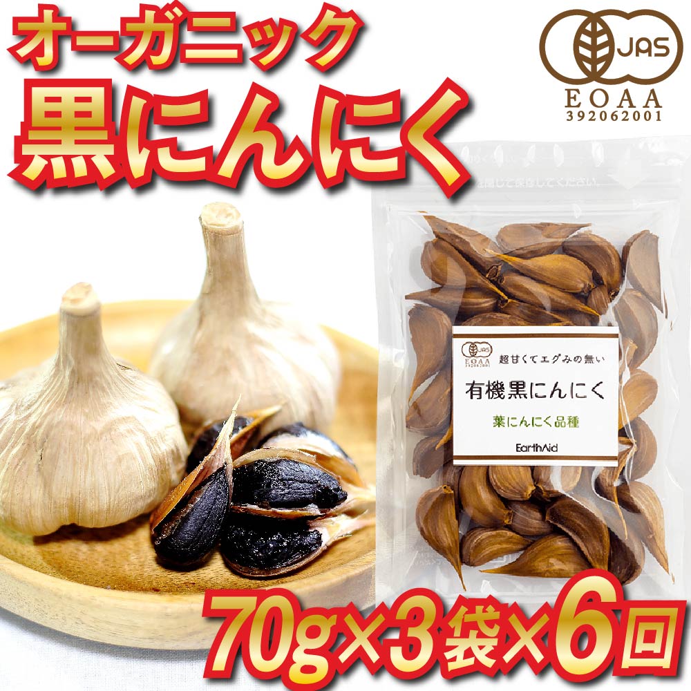 【ふるさと納税】定期便 6回 黒 ニンニク 産地直送 有機野菜 健康食品 小分け パック セット 高知県 須崎市