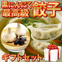 【ふるさと納税】 化粧箱入り 有機 葉ニンニク と 四万十豚で作った 最高級 餃子 ギフト セット 高知県 須崎市 EA0831