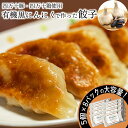 【ふるさと納税】 有機 黒 ニンニク と 四万十 豚 で作った 最高級 餃子 ( 8パック 8人前 )ぎょうざ ギョウザ にんにく 高知 野菜 EA0322
