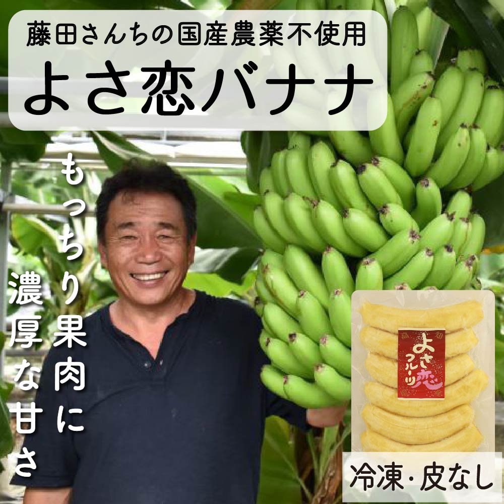 無農薬 冷凍 バナナ パック 800g 国産 藤田さんちの無農薬バナナ 化学肥料不使用 高知県 須崎市