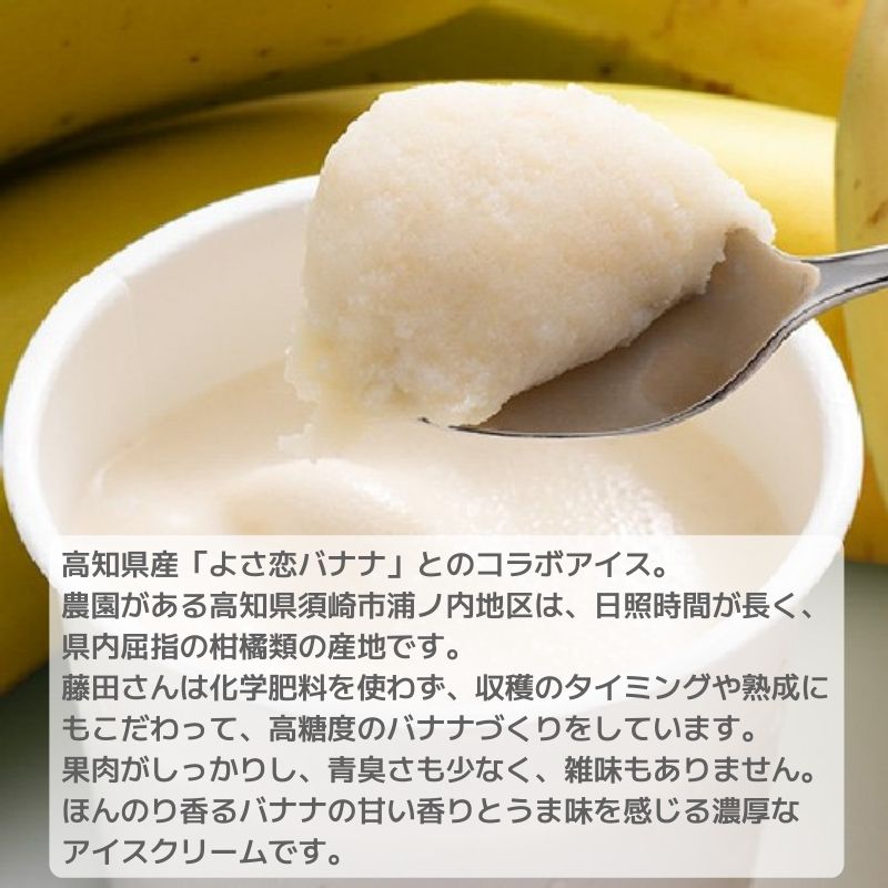 【ふるさと納税】 濃厚な甘さと味わいに恋する NOUKA の濃恋(こいこい)バナナアイス EA103