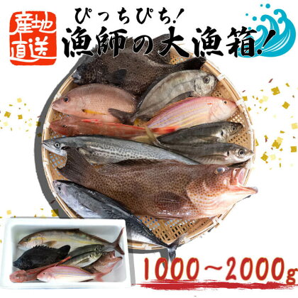 お楽しみ鮮魚ボックス ぴっちぴちの漁師の大漁箱！（中） 鰹 ヒラメ 鯛 サバ アジ