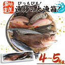 20位! 口コミ数「1件」評価「4」 魚 鮮魚 ボックス 4kg～5kg 旬 鮮度 抜群 おまかせ 詰め合わせ 海鮮 魚介 新鮮 高知県 須崎市 MT005