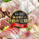 【ふるさと納税】 旬の お刺身 定期便 1年 12回 産地直送 お楽しみ定期便 新鮮 刺身 毎月 届く 旬 鮮魚 ブリ カンパチ シマアジ タイ カツオ の タ...