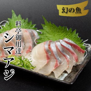 【ふるさと納税】 シマアジ お刺身 セット 高級 魚 しまあじ 産地直送 送料無料