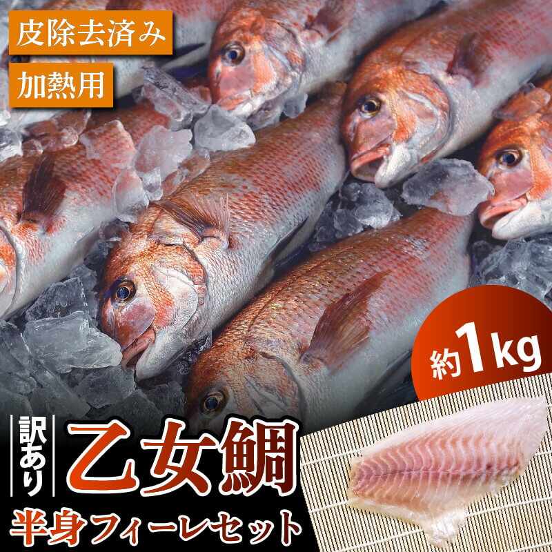 【ふるさと納税】 訳あり 真鯛 約 1kg 半身 フィーレ セット 加熱用 皮除去済み 冷凍 個包装 小分け 大容量 鯛 たい マダイ フィレ 真空 高知県 須崎市 数量 限定 乙女鯛 魚 魚介