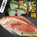 【ふるさと納税】 タイ 鯛 900g〜1kg 2.0kg〜2.5kg まるごと 1匹 2匹 魚 鮮魚 真鯛 マダイ ブランド 乙女鯛 刺身 新鮮 鯛めし 煮付け...