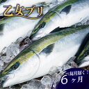 【ふるさと納税】 乙女 ブリ 定期便 6回 6ヶ月 新鮮 ブランド 鰤 ぶり 神経締め 冷蔵 産地直送 鮮魚 切り身 お刺身 乙女ブリ 極みブリ しゃぶしゃぶ ...