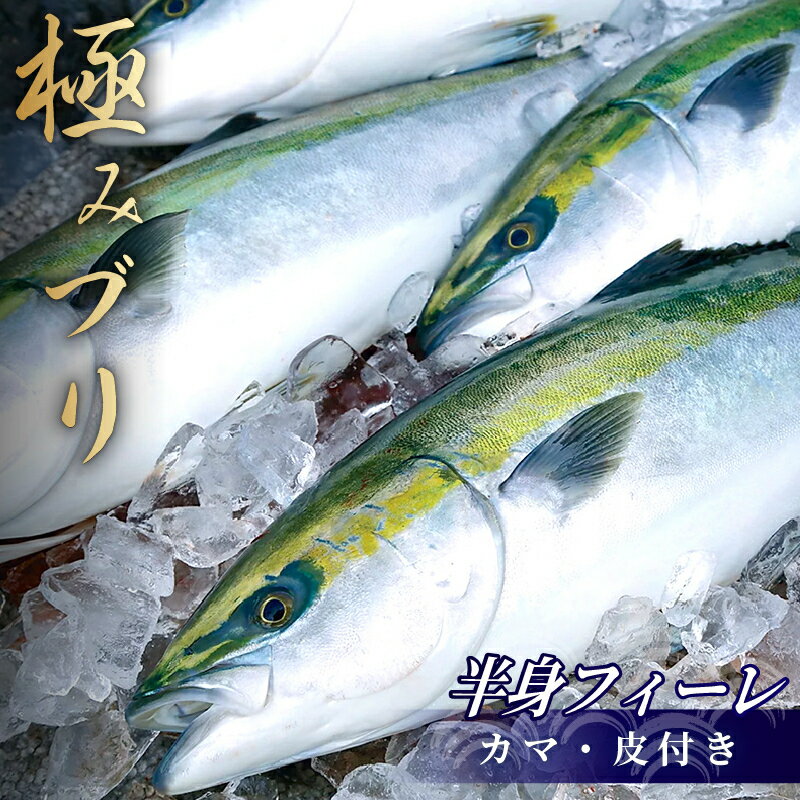 ※原材料価格高騰により2022年11月17日より金額を下記へと変更させていただきます。 寄附者様には大変なご迷惑、ご負担をお願いすることとなり誠に恐縮ではございますが、何卒ご了承賜りますようお願い申し上げます。 13,000円　⇒　17,000円 商品説明 名称 極み鰤（ブリ）フィーレ 内容量 ブリ半身1パック(1〜1.2kg) 産地名 高知県産 養殖・解凍 養殖 保存方法 必ず冷蔵又は冷凍保存してください。発送は冷蔵となります。 商品詳細 黒潮本流で飼育された、味や弾力はもちろん美しさを追求した魚の町、須崎のブランド鰤です。 ※フィーレ状に処理したものが届きます、お刺身でいただく場合には調理が必要です。 【内容】 ・カマ付き、皮付きフィーレ（半身・1パック） ※下処理をしたものもございますので、調理を希望の方はご検討ください。「KS032」 年末年始の配送について 年末の最終発送は「12/25着日指定」まで、 年始の初回発送は「1/5着日指定」からとなっております。 寄附者様にはご不便をおかけいたしますが、ご留意の上ご注文いただきますようお願いいたします。 配送について ※発送前に電話連絡が必要な方は備考欄に「電話連絡必要」とご記載ください。 提供 高知県 須崎市浦ノ内灰方1154-8小島水産株式会社 ・ふるさと納税よくある質問はこちら ・寄附申込みのキャンセル、返礼品の変更・返品はできません。あらかじめご了承ください。