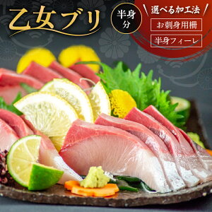 【ふるさと納税】 乙女 ブリ 刺身 用 700g ~ 1000g 神経締め 冷蔵 新鮮 ブランド 鰤 ぶり しゃぶ 切り身 乙女ブリ 高知県須崎市 須崎市 鰤 年末 正月(下処理有)乙女鰤 高知