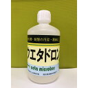 9位! 口コミ数「0件」評価「0」 水質浄化剤 1L ウエタドロン 配管 浄化 掃除 キッチン お風呂場 分解 UB027