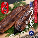 52位! 口コミ数「6件」評価「4.33」 国産 高級 うなぎ 蒲焼 100g～120g 計 2尾 セット タレ付き 贈答 養殖 肉厚 鰻 土用丑の日 敬老の日 高知県 須崎市