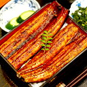 【ふるさと納税】 肉厚 うなぎ の 蒲焼き 100g ～ 1