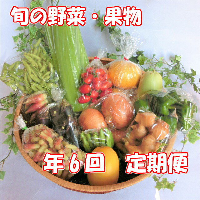 【ふるさと納税】定期便 野菜 年6回コース 朝採れ新鮮 旬の野菜・果物セット