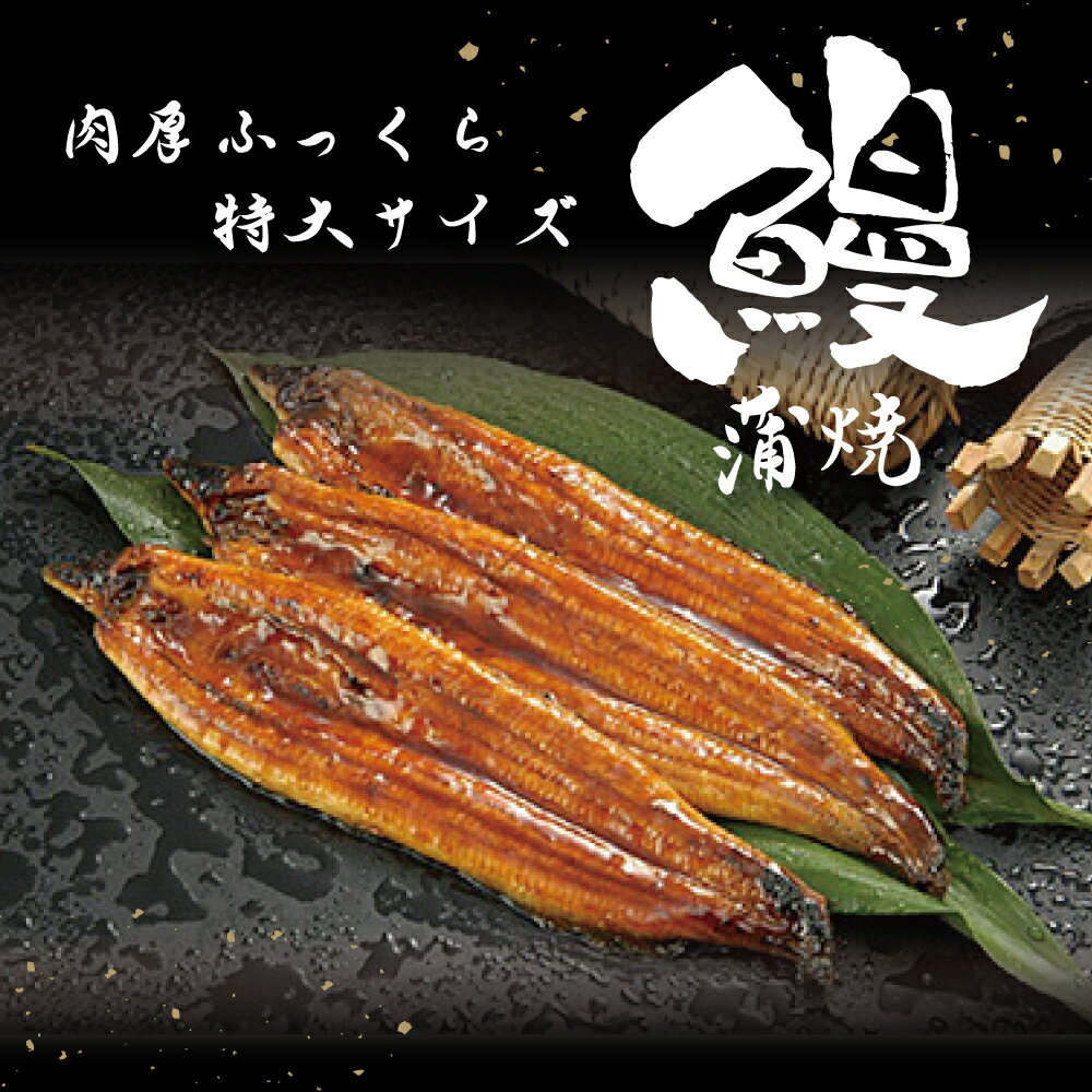 【ふるさと納税】 うなぎ蒲焼き 200g 7尾 セット 特大