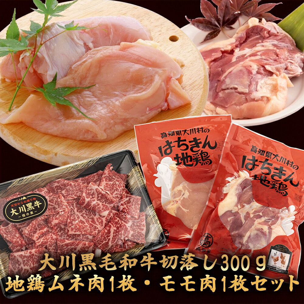 【ふるさと納税】 肉 牛肉 国産 黒毛 和牛 切り落とし 3