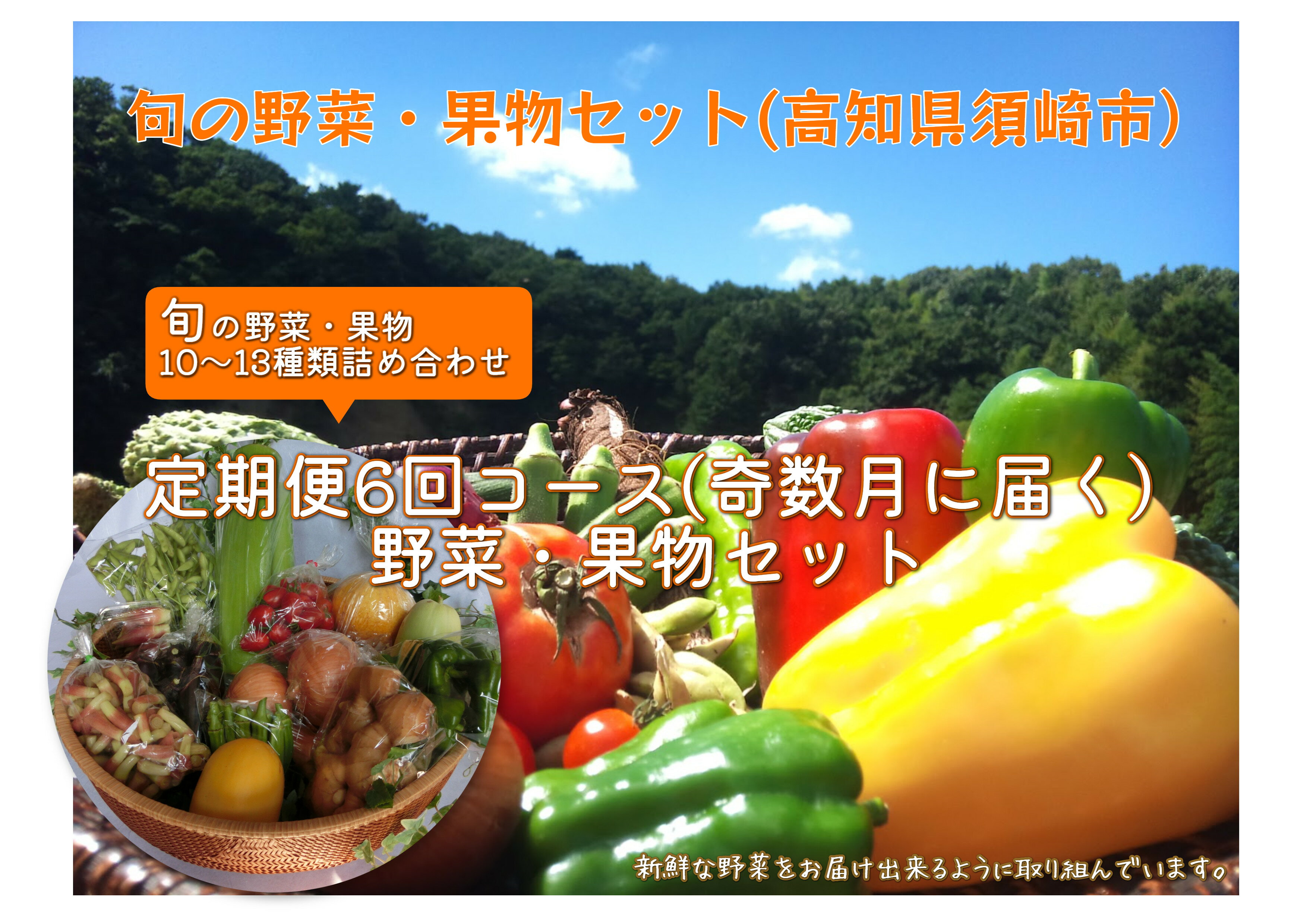 野菜 果物 定期便 6回 高知 道の駅 須崎 旬 季節 1年間 やさい くだもの 取り寄せ ME2000人気 ランキング 食品 お楽しみ バラエティ おすすめ 6ヶ月 フルーツ