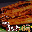 【ふるさと納税】 有頭 うなぎ 蒲焼 6尾 720g以上( 120g~140g × 6尾 ) | 鰻 ウナギ 蒲焼 蒲焼き 大人気 タレ スタミナ 夏バテ 小分け 真空包装 冷凍 台湾産 養殖 高知県 須崎市 ふるさと納税うなぎ 土用の丑の日 ME0151