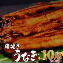 【ふるさと納税】 有頭 うなぎ 蒲焼 10尾 1.2kg以上( 120g〜140g × 10尾 ) | 鰻 ウナギ 蒲焼 蒲焼き 大人気 タレ スタミナ 夏バテ...