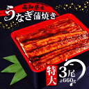 【ふるさと納税】 肉厚 うなぎ の 蒲焼き 220g × 3尾 自家製 タレ セット 冷凍 頭付き 鰻 手焼き 蒲焼 タレ付き ふっくら 香ばしい うなぎ蒲焼き...