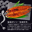 高知県須崎市の画像3