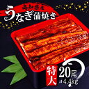 【ふるさと納税】 肉厚 うなぎ の 蒲焼き 220g × 20尾 自家製 タレ 20個 セット 頭付き 鰻 手焼き 蒲焼 タレ付き ふっくら 香ばしい うなぎ蒲...