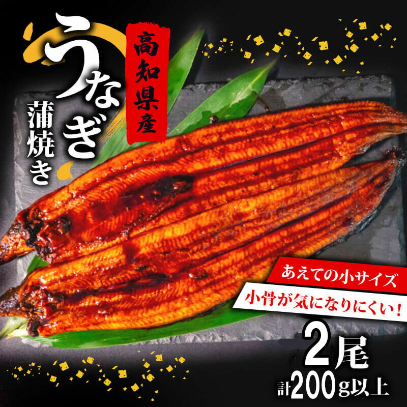 【ふるさと納税】 国産 高級 うなぎ 蒲焼 100g～120g 計 2尾 セット タレ付き 贈答 養殖 肉厚 鰻 土用丑の日 敬老の日 高知県 須崎市のサムネイル