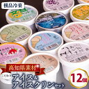【ふるさと納税】 高知 名物 アイスクリン ふるさとの味アイス 12個セット ( ゆず 文旦 甘酒 ミルク いちごミルク 生姜 バニラ 抹茶 いちご チョコ ソーダ 人気 カップ スイーツ バラエティ おやつ 詰め合わせ デザート 詰合せ ) ME0391