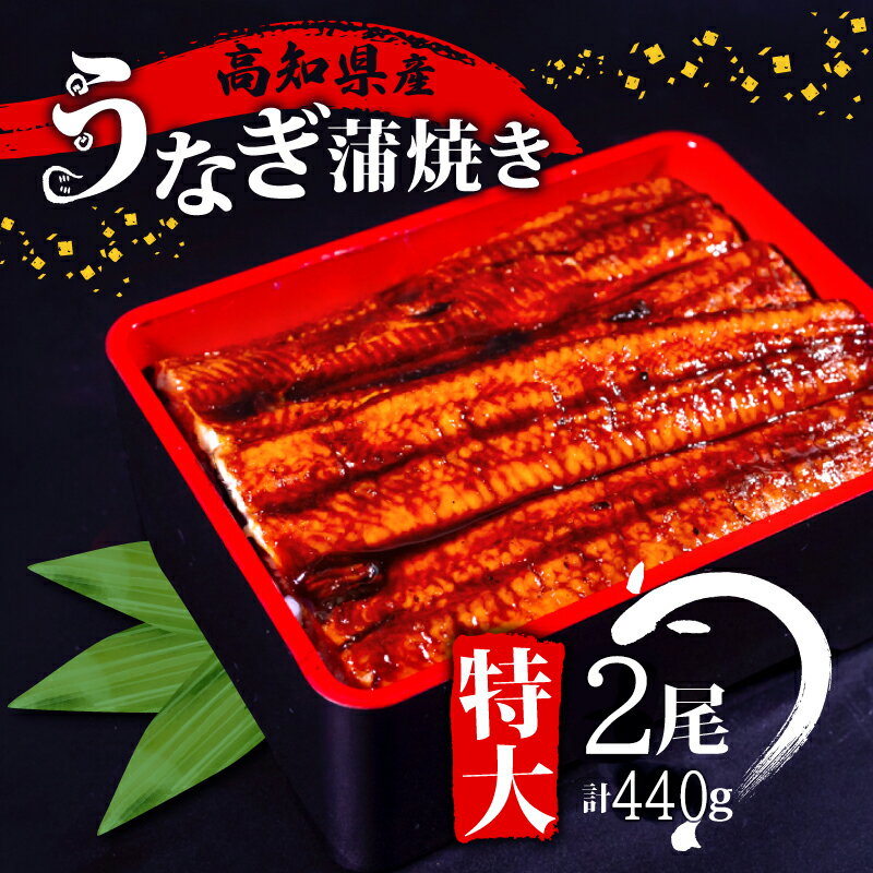 【ふるさと納税】 高知県産 養殖 うなぎ 蒲焼 220g×2尾セット 土用の丑の日 国産 ふるさと納税うなぎのサムネイル
