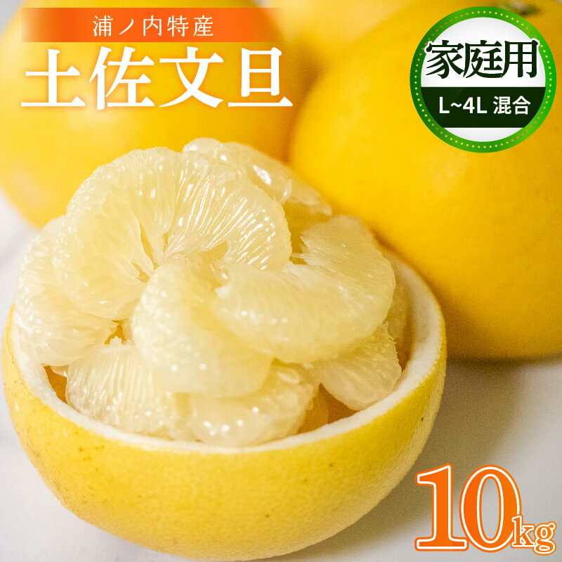 【ふるさと納税】 訳あり 文旦 10kg 土佐文旦 産地直送 柑橘 みかん 蜜柑 フルーツ 家庭用のサムネイル