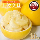 【早期予約開始!!2026年2月頃より順次発送】【ふるさと納税】 浦ノ内特産 土佐文旦 10kg 優品 Lサイズ | みかん 蜜柑 柑橘 文旦 10キロ 明神果樹園 人気 ランキング 数量限定 期間限定 高知県 須崎市 ふるさと納税果物 MKJ005_xx