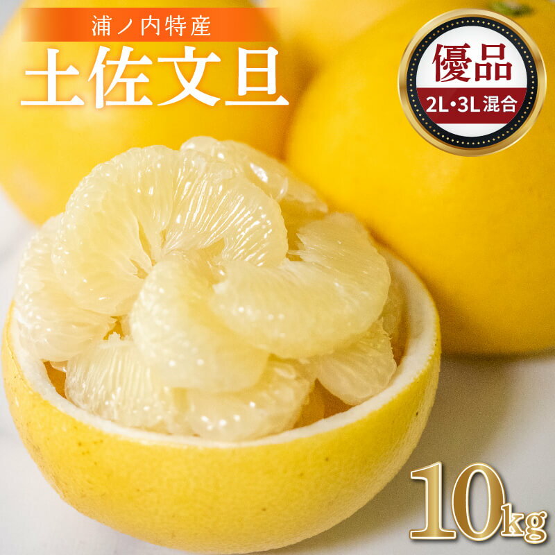 【ふるさと納税】 浦ノ内特産 土佐文旦 10kg 優品 2L ・ 3L 混合 | みかん 蜜柑 柑橘 文旦 大玉 10キロ 明神果樹園 人気 ランキング 数量限定 期間限定 高知県 須崎市 ふるさと納税果物 MKJ006_xのサムネイル
