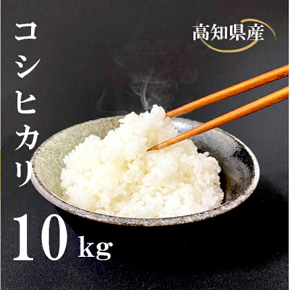 米 コシヒカリ 10kg 白米 ごはん お米 産地直送 食味鑑定士 厳選 高知県産 須崎市 NPO013