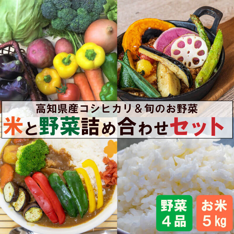 11位! 口コミ数「0件」評価「0」 野菜 4品 新鮮 朝採れ 米 コシヒカリ 5kg 白米 精米 ごはん ご飯 セット 詰め合わせ 産地直送 高知県産 須崎市 NPO001