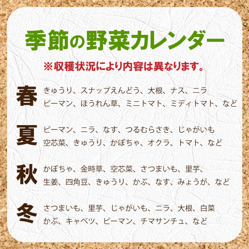 【ふるさと納税】 定期便 3回 米 コシヒカリ 5kg 野菜 4品 新鮮 朝採れ野菜 白米 ごはん お米 セット 詰め合わせ 産地直送 高知県 須崎市 きゅうり 大根 ニラ ナス ピーマン トマト じゃがいも カボチャ さつまいも かぶ みょうが さといも 里芋 キャベツ 白菜 ミニトマト