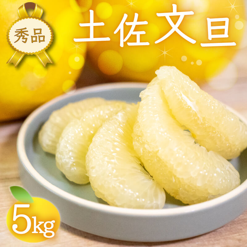 【ふるさと納税】 文旦 秀品 5kg 安和文旦 果物 くだもの フルーツ ぶんたん 高知県 須崎 NPO017のサムネイル