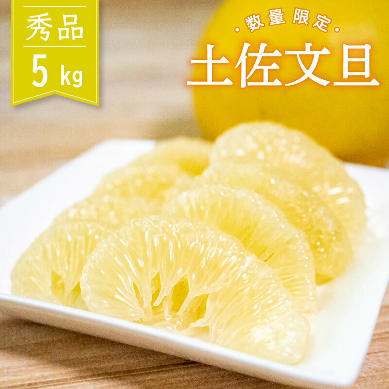 【ふるさと納税】 【 2025年2月より順次発送 】 土佐文旦 秀品 5kg 高知県産 柑橘 フルーツ 文旦 ぶんたん ブンタン 果物 産地直送 高知県 須崎市 KG008のサムネイル