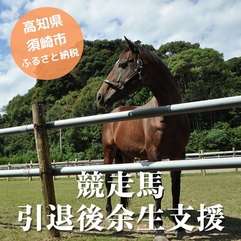 【ふるさと納税】 競走馬 支援 1万円 コース 黒潮友馬会応援 10000円 特典 ポストカード 競馬 サラブレッド 引退 高知県 須崎市