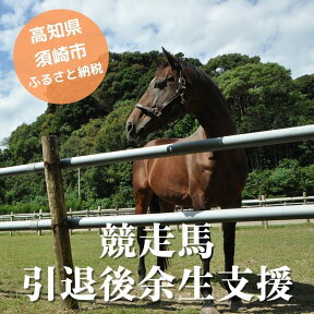 【ふるさと納税】 競走馬 支援 2万円 コース 黒潮友馬会応援 20000円 特典 ポストカード 高知県 須崎市 競馬 サラブレッド