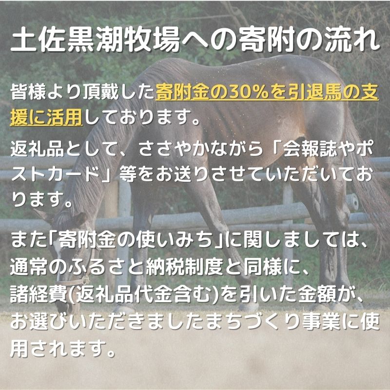 【ふるさと納税】 競走馬 支援 10万円 コー...の紹介画像2