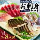 【ふるさと納税】 朝どれ鮮魚 3~4種類 3~8人前 詰め合わせセット 生すり身付き かつおタタキ マグロ アジ カンパチ ヒラメ カレイ クレ サワラ イサキ イカ タコ ホウボウ 鯛 シマアジ お刺身 鍋 焼き魚