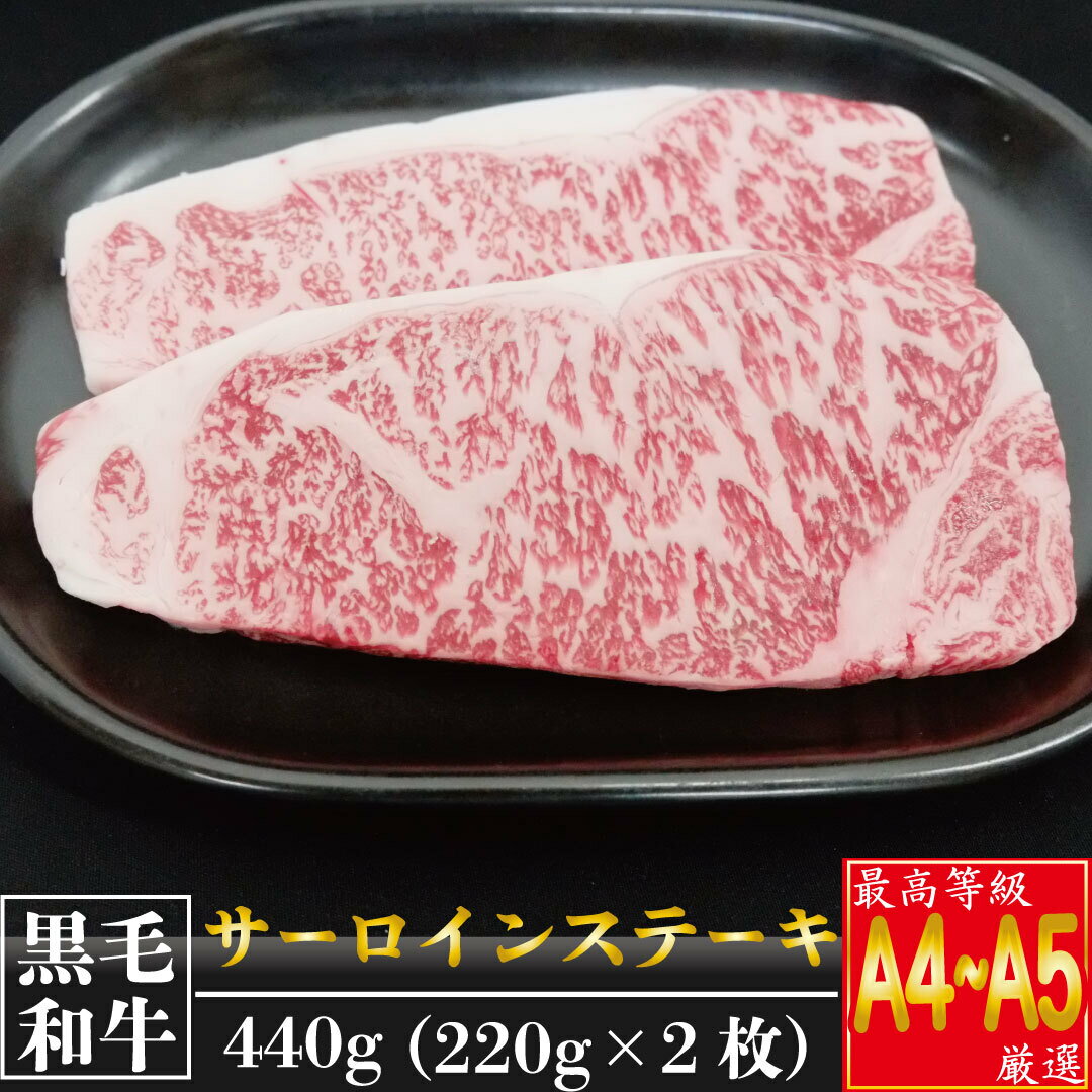 サーロインステーキ 牛肉 特撰 サーロイン肉 220g 2枚 土佐 黒毛 和牛 最上位等級 父の日 高知県 須崎市 TM010