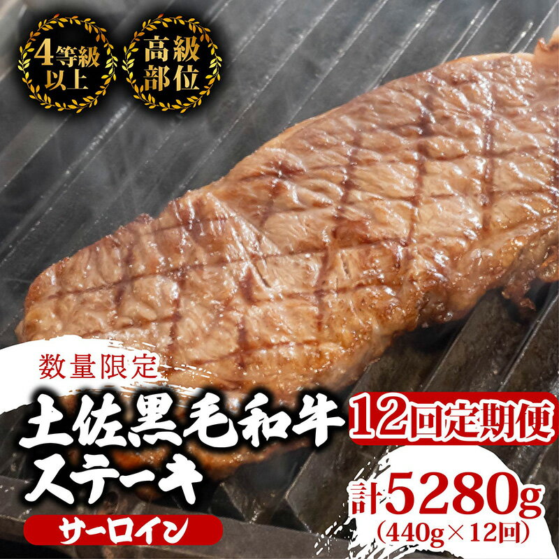 【ふるさと納税】 【定期便12回】土佐黒毛和牛サーロインステーキ 計5.28kg(440g×12ヶ月連続お届け) 2Tコース | 特撰 サーロイン肉 最上位等級 A4 A5 最高 ランク 贅沢 厚切り ステーキ用 焼肉用 キャンプ飯 国産 牛肉 高知県 須崎市 TM48000