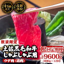 【ふるさと納税】 【定期便12回】土佐黒毛和牛ウデ肉しゃぶしゃぶ用 計9.6kg(800g×12ヶ月連続お届け) 3Bコース | 特撰 ウデ肉 肩肉 最上位等級...