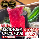 【ふるさと納税】 【定期便6回】土佐黒毛和牛ウデ肉しゃぶしゃぶ用 計7.2kg(1.2kg×6ヶ月連続お届け) 3Eコース | 特撰 ウデ肉 肩肉 最上位等級 ...