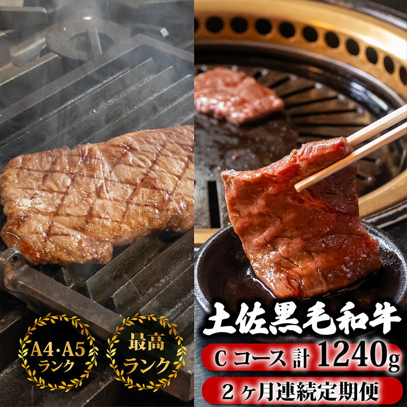 [2回定期便]土佐黒毛和牛 食べ比べ 1240g (計1.2kg以上) | Cコース 厳選 国産 和牛 ステーキ 焼き肉 お肉 霜降り 牛肉 モモ肉 もも肉 サーロイン 人気 贈答 ギフト プレゼント 小分け 数量限定 2ヵ月 頒布会 老舗 たけうちミート 高知県 須崎市