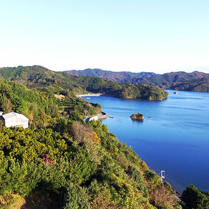 【ふるさと納税】 【 2024年 4月 より 発送 】 訳あり 小夏 家庭用 10kg 高知県産 早期予約 柑橘 フルーツ 果物 みかん ミカン 蜜柑 こなつ ニューサマーオレンジ 日向夏 産地直送 大小混合品 高知県 須崎 KJS008