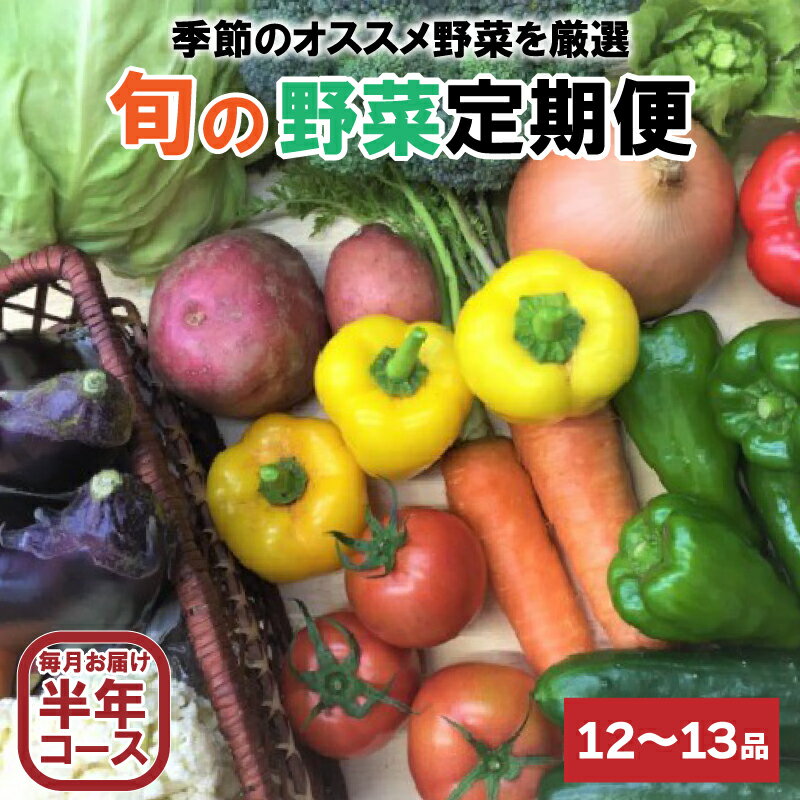 楽天高知県須崎市【ふるさと納税】 定期便 野菜 6回 12～13品前後 6か月 詰め合わせ 産地直送 セット あわ地区 旬の野菜 やさい ベジタブル キット 季節野菜 高知 須崎 国産 人気 半年間 毎月 お届け AWA8000人気 ランキング 食品 お楽しみ バラエティ おすすめ