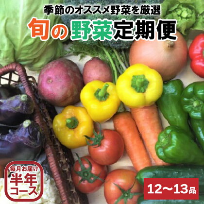 定期便 野菜 6回 12～13品前後 6か月 詰め合わせ 産地直送 セット あわ地区 旬の野菜 やさい ベジタブル キット 季節野菜 高知 須崎 国産 人気 半年間 毎月 お届け AWA8000人気 ランキング 食品 お楽しみ バラエティ おすすめ